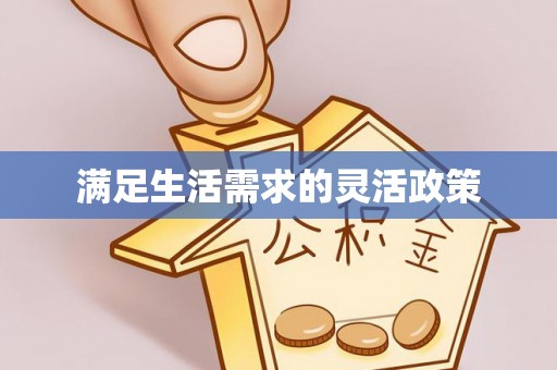 左云满足生活需求的灵活政策