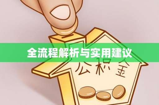 左云全流程解析与实用建议
