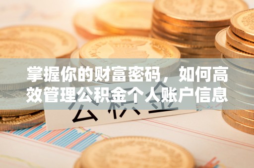 左云掌握你的财富密码，如何高效管理公积金个人账户信息
