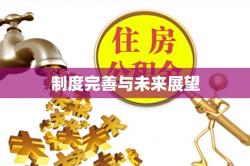 左云制度完善与未来展望