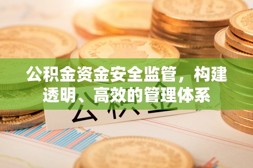 左云公积金资金安全监管，构建透明、高效的管理体系