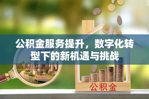 左云公积金服务提升，数字化转型下的新机遇与挑战