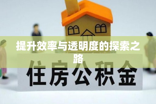 左云提升效率与透明度的探索之路
