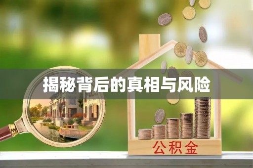 左云揭秘背后的真相与风险