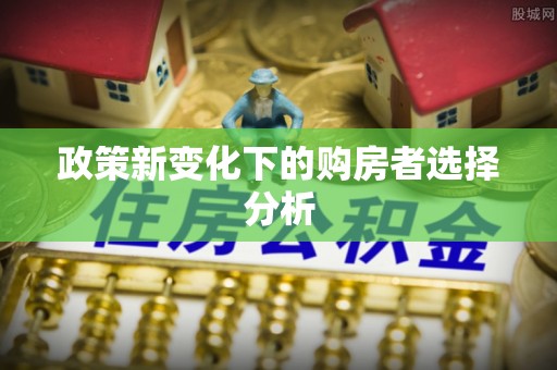左云政策新变化下的购房者选择分析