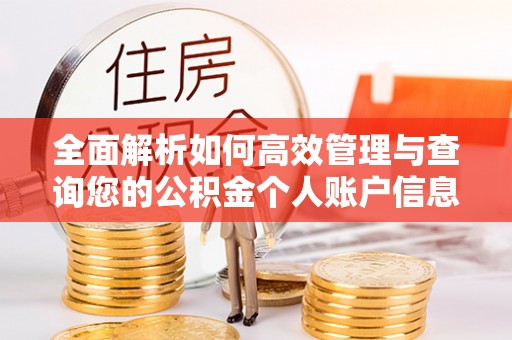 左云全面解析如何高效管理与查询您的公积金个人账户信息