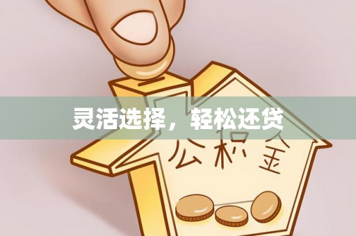 左云灵活选择，轻松还贷