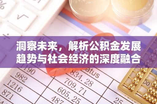 左云洞察未来，解析公积金发展趋势与社会经济的深度融合