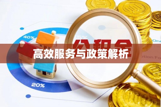 左云高效服务与政策解析