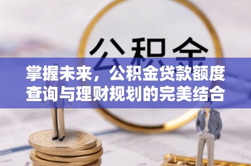 左云掌握未来，公积金贷款额度查询与理财规划的完美结合