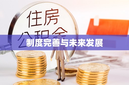 左云制度完善与未来发展