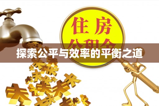 左云探索公平与效率的平衡之道