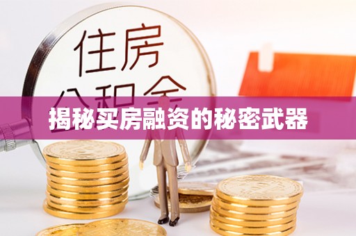 左云揭秘买房融资的秘密武器