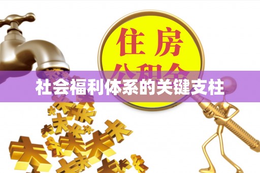 左云社会福利体系的关键支柱