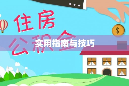 左云实用指南与技巧