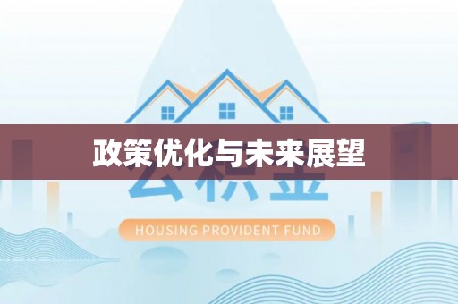 左云政策优化与未来展望