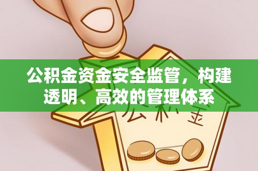 左云公积金资金安全监管，构建透明、高效的管理体系