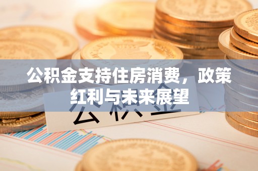 左云公积金支持住房消费，政策红利与未来展望