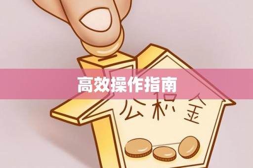 左云高效操作指南