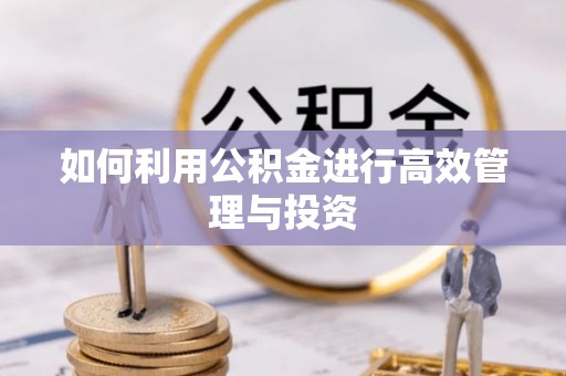 左云如何利用公积金进行高效管理与投资