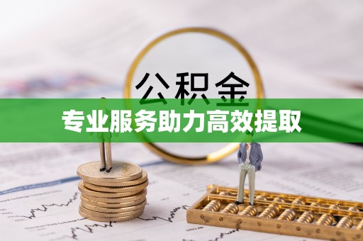 左云专业服务助力高效提取