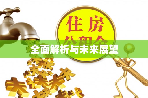 左云全面解析与未来展望