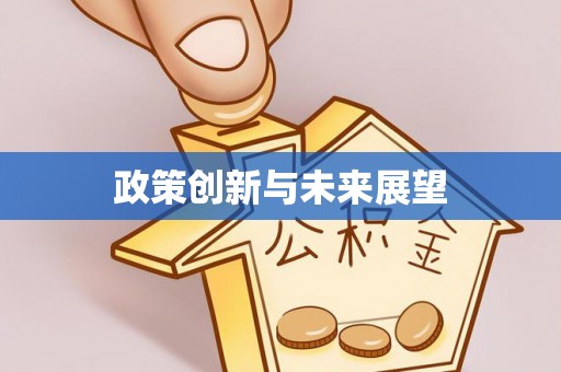 左云政策创新与未来展望