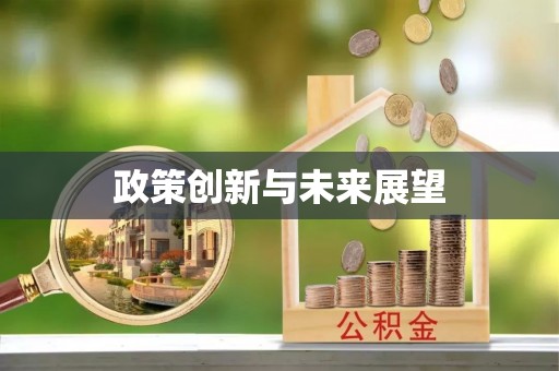 左云政策创新与未来展望