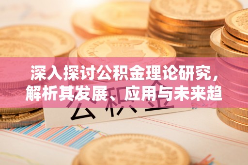 左云深入探讨公积金理论研究，解析其发展、应用与未来趋势