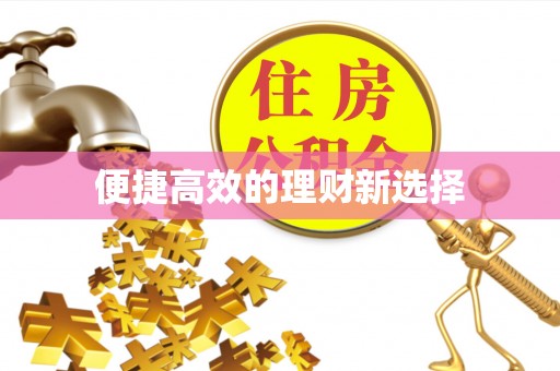 左云便捷高效的理财新选择