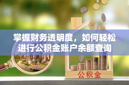 左云掌握财务透明度，如何轻松进行公积金账户余额查询
