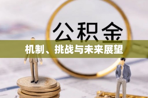 左云机制、挑战与未来展望
